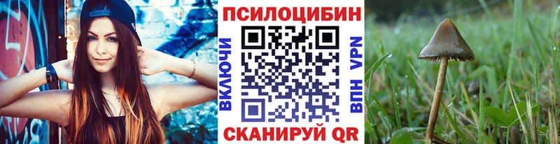 Купить  Закаменск  Псилоцибиновые грибы мицелий 